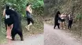 Oso se aproxima a una joven, la olfatea y ella aprovecha para tomarse una selfie [VIDEO]
