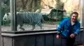 Turista ingresa a jaula de tigre blanco para tomarse foto, sin imaginar la temible reacción del felino [VIDEO]