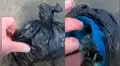 Descubre misteriosa bolsa abandonada en turbio río, la abre y revela algo inesperado [VIDEO]