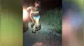 Mujer intenta capturar a enorme pitón con las manos, sin imaginar la reacción del depredador [VIDEO]