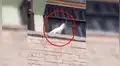 Enfurecida cacatúa saca las púas antiaves de un edificio y los lanza a peatones [VIDEO] 
