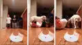Pareja crea entretenido juego durante la cuarentena, pero su perro les arruina todo [VIDEO] 
