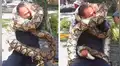 YouTube viral: Bombero es estrangulado por enorme serpiente ante la sorpresa de miles