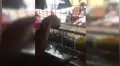 Gato acude a bodega para que le ‘inviten’ caramelos y se va corriendo al recibirlos [VIDEO]