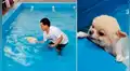 YouTube viral: profesor de natación enseña a nadar a perrito y miles se conmueven [VIDEO]