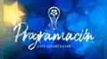 Play-offs Copa Sudamericana EN VIVO: partidos de hoy y canales para ver el torneo