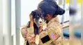 Mujer soldado consuela a perrita que sufría por el robo de sus cachorros 