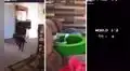 Dueño recrea escenas de Mario Bross con videos de su perrito 