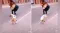 Perrito sorprende al bailar a ritmo de un huaino cajamarquino
