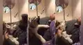 Hombre imita el aullido de su perro y este le ‘enseña’ cómo se hace 