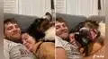 Perro ve a sus dueños en el sofá y hace de todo para acomodarse con ellos