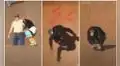 Mono se monta sobre un skate y hace trucos en la rampa 