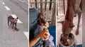 Perrita embarazada y abandonada en medio de la calle logró un final feliz 