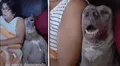 Deja a su perro con su madre y los encuentra en divertida escena