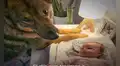 Perro policía tiene conmovedora reacción al conocer a la bebé de su dueño