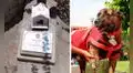 Perro mascota de la UNSA muere y autoridades colocan una placa en su honor