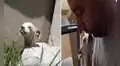 Rescata a perrita que fue abandonada y maltratada y le cambia la vida