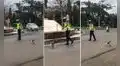 Policía detiene el tránsito y ayuda a gatito callejero a cruzar la pista