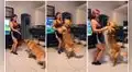Perro ‘baila’ con su dueña al ritmo de una salsa y escena entretiene
