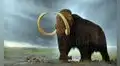 Excesiva caza humana determinó la extinción de los mamuts, sostiene estudio