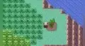Pokémon Esmeralda: ¿cómo llegar a la isla espejismo y qué hay en ese lugar?