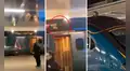 Gato detiene servicio ferroviario al negarse a bajar del techo de un vagón