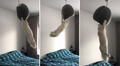 Deja solo a su gato un momento y al volver lo descubre colgado de la lámpara