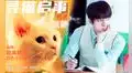 EXO: Catman, película con Sehun, pospone su estreno por segunda vez