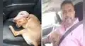 Hombre rescata a perrita abandonada en la carretera y decide adoptarla  