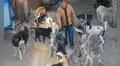 Hombre gasta su fortuna para crear un refugio y salvar a perros callejeros