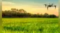 Lambayeque: usan drones y satélites para optimizar el cultivo de arroz