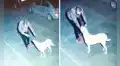 Hombre se encuentra con un perro y baila con él en la calle