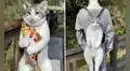 Imagen de un gato colgado como mochila confunde a usuarios con uno real 