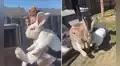 Mujer comparte video de sus conejos que tienen un particular tamaño