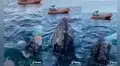 Ballena sorprende al ‘saludar’ a turistas en medio de un paseo
