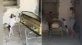 Perro sufre la pérdida de su dueña y no se separa del ataúd en el velorio