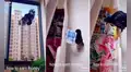 Dueño de cuervo graba un cómico video con su mascota que adora el dinero