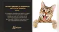 Veterinaria se vuelve viral por responder a campaña de ‘Perruqueo’
