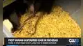 Confirman en Estados Unidos el primer caso humano de hantavirus en Míchigan