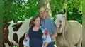 Pareja realiza sesión de fotos por maternidad, pero caballo les ‘roba’ el espectáculo