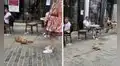 Perro no quiere acabar con su paseo y le hace ‘berrinche’ a su dueña para no ir a casa