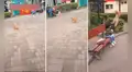 Gato intenta atrapar palomas en el aire y salto sorprende a niños en un parque