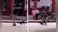 Hombre es captado bailando en la vía pública junto a su simpático perro
