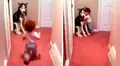 Perro husky siberiano y bebé comparten tierno momento que emociona