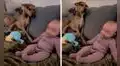 Tierno perrito toma la mano de la bebé de sus dueños mientras disfrutan de una película