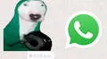 WhatsApp: ¿cómo crear stickers animados personalizados con un video o GIF en movimiento