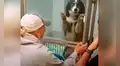 Perrita se emociona al ver nuevamente a sus dueños dentro de un refugio