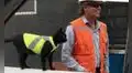 Gatito se refugia en una construcción y los obreros lo adoptan al integrarlo a su equipo 
