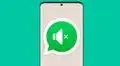 WhatsApp: ¿cómo enviar videos sin audio a todos tus contactos?