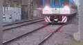 Chofer de tren reduce la velocidad para no atropellar a perro que caminaba en los rieles 